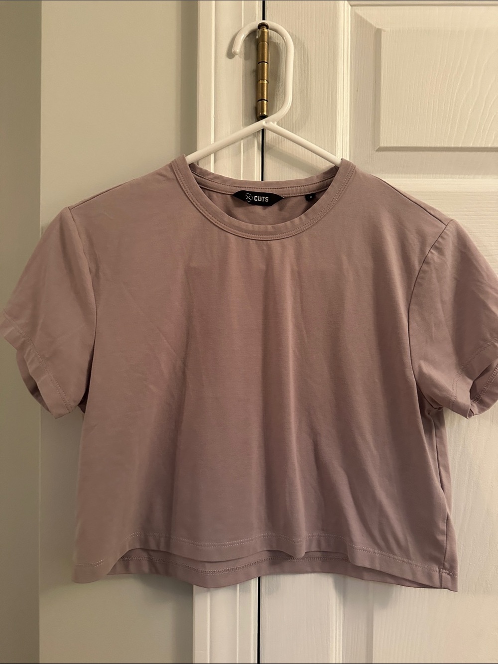 The Cut Cropped Crew Neck Tee - Dusty Mauve size XS